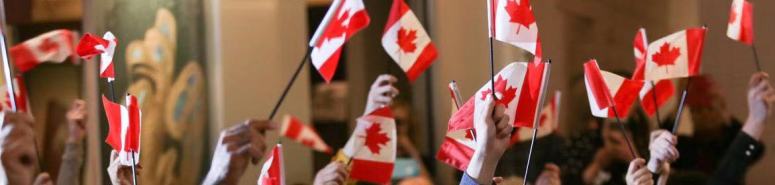 企业家类别图片